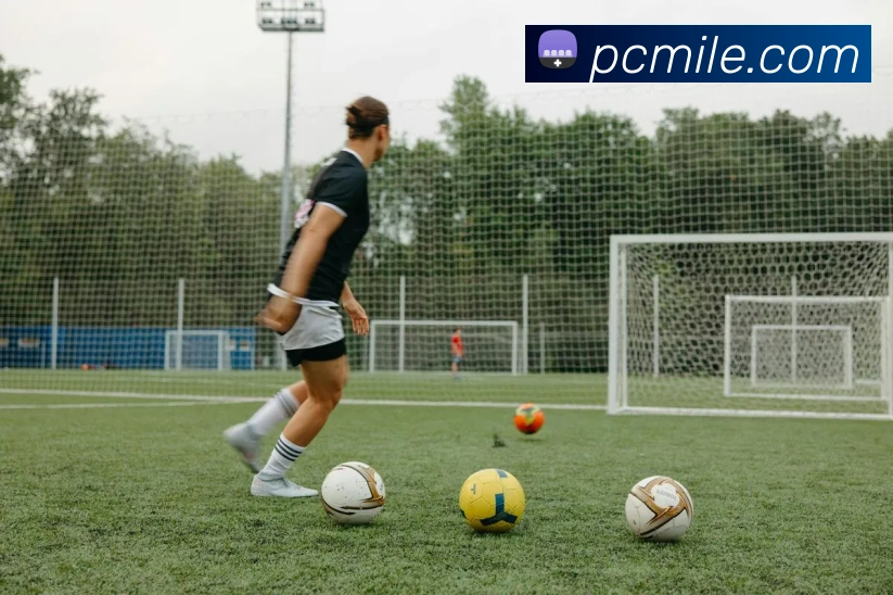 米乐m6APP 封面图